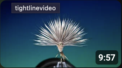 Fly Tying a Wally wing quill emerger fly with Barry Ord Clarke