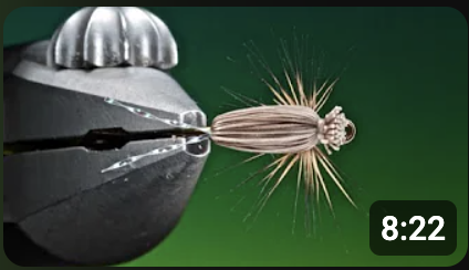 Fly Tying a Wally wing Fluttering Caddis/Sedge with Barry Ord Clarke